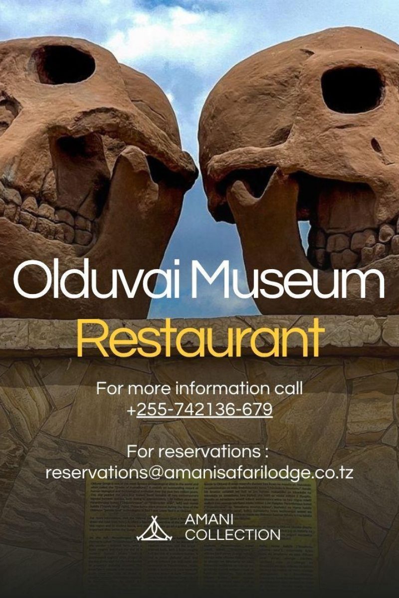 WhatsApp Image 2025-10-24 at 14.03.48