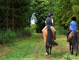 rear-view-of-mature-woman-and-girl-horse-riding-2024-10-18-10-13-39-utc (1)