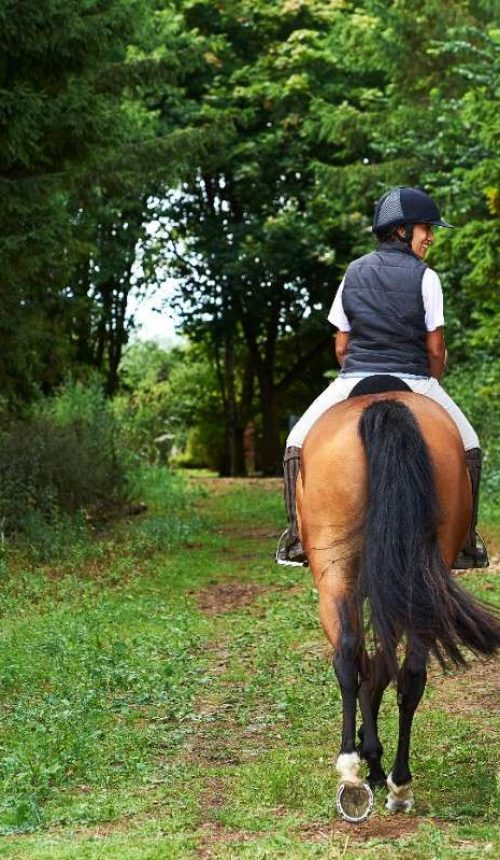 rear-view-of-mature-woman-and-girl-horse-riding-2024-10-18-10-13-39-utc (1)